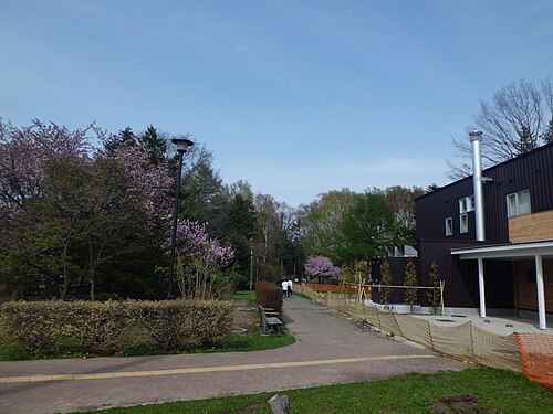 豊平公園西口の木々と園内へ続く歩道